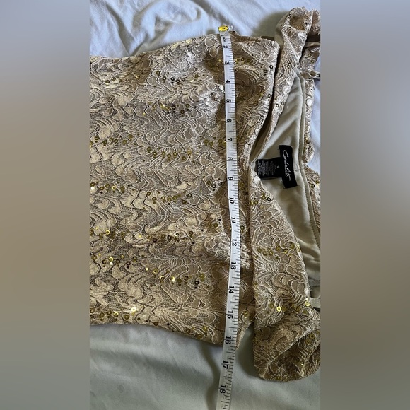 Cachet Sequin Lace Gown in Tan and Gold - Picture 8 of 10